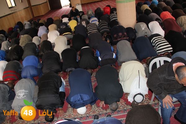 jarhoshuy msajed 0110 (14).JPG